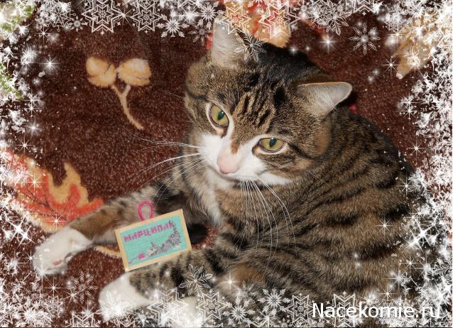 Дом Мечты и Новогодний Санта