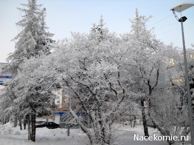 Дом Мечты и Новогодний Санта