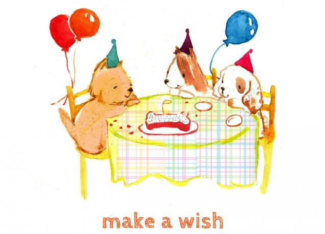 Дом Мечты наши дни рождения