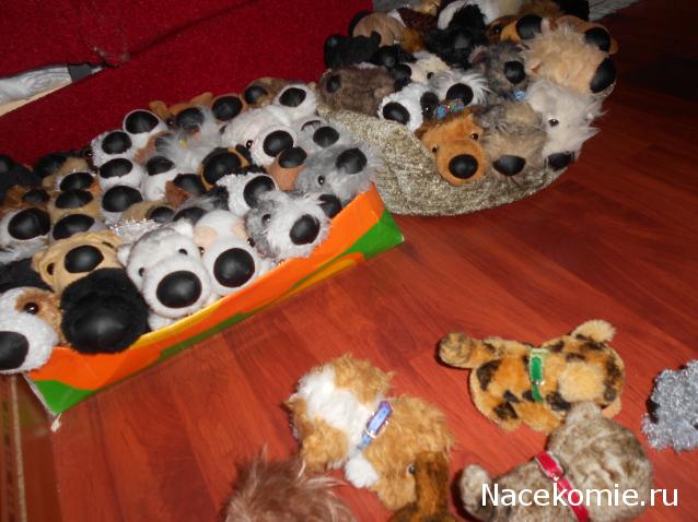 The Dog Collection Болталка