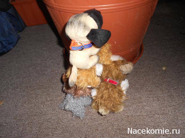 The Dog Collection Болталка