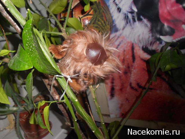 The Dog Collection Болталка