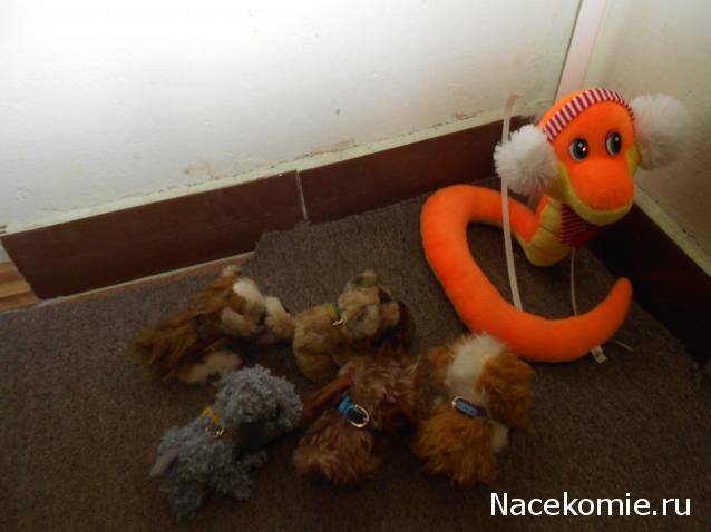 The Dog Collection Болталка