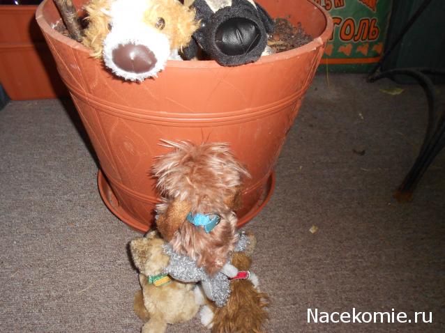 The Dog Collection Болталка