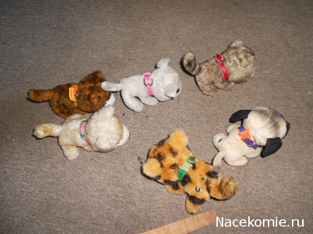 The Dog Collection Болталка