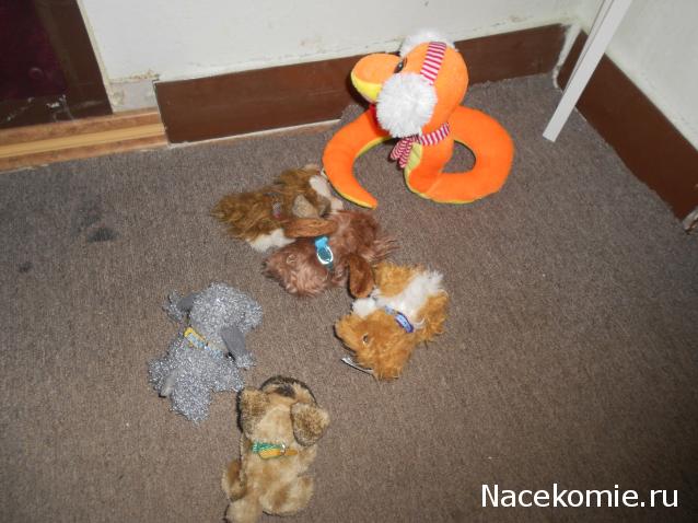 The Dog Collection Болталка