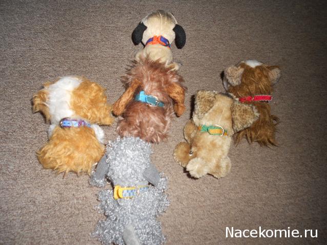 The Dog Collection Болталка