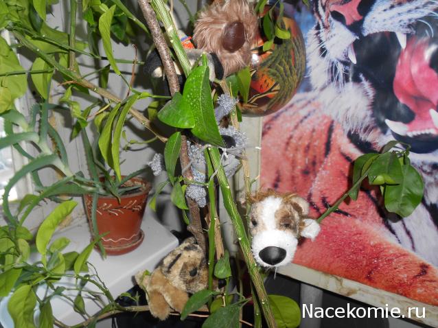 The Dog Collection Болталка