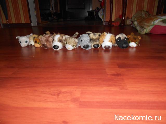 The Dog Collection Болталка