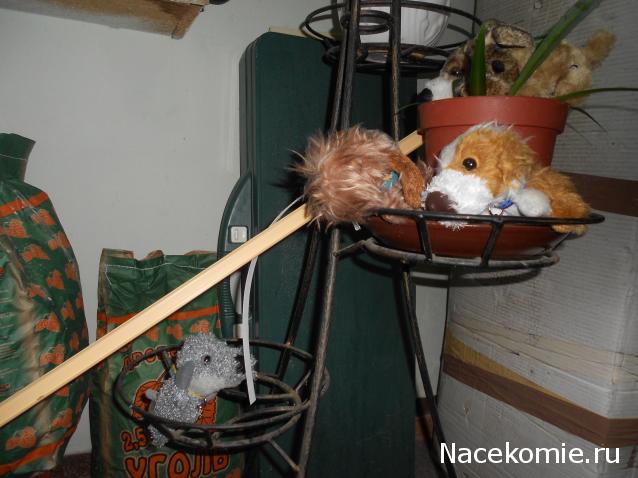 The Dog Collection Болталка