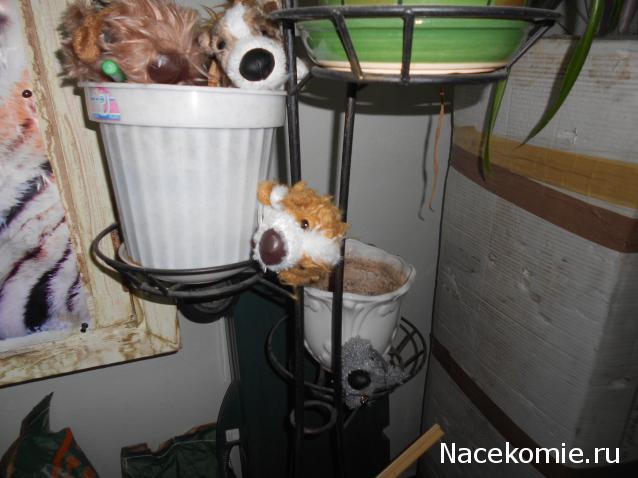 The Dog Collection Болталка