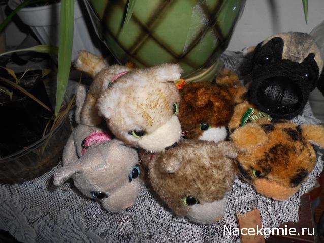 The Dog Collection Болталка