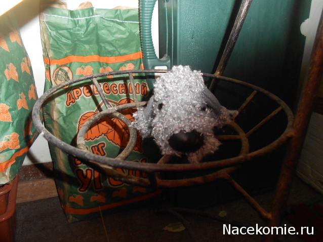 The Dog Collection Болталка