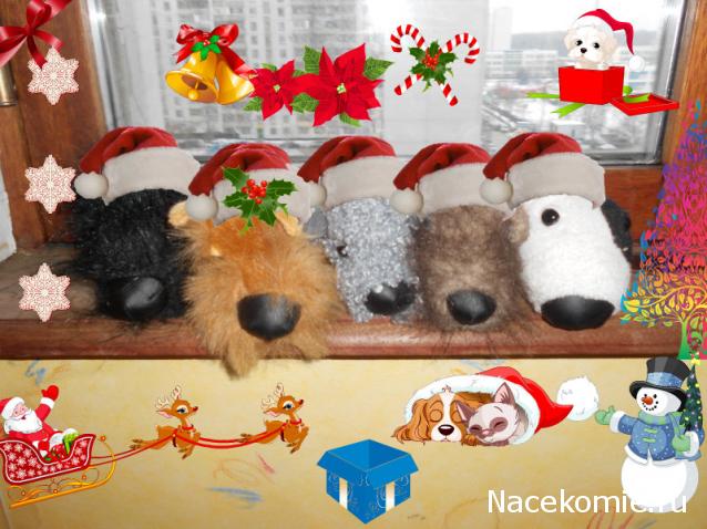 The Dog Collection Болталка