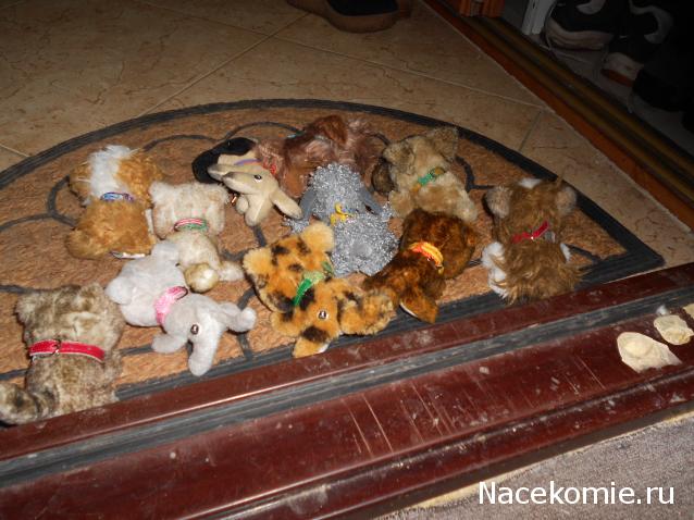 The Dog Collection Болталка