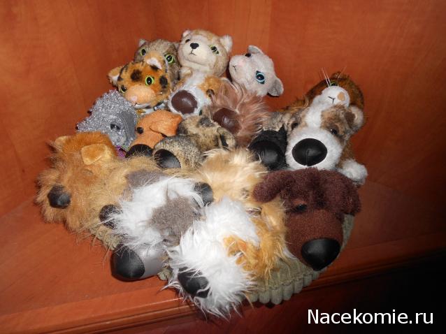 The Dog Collection Болталка