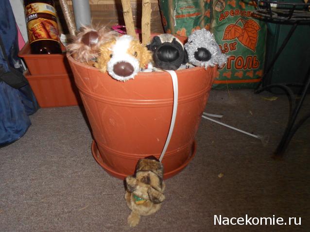 The Dog Collection Болталка