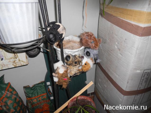 The Dog Collection Болталка