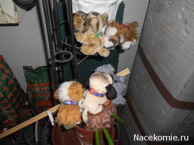 The Dog Collection Болталка