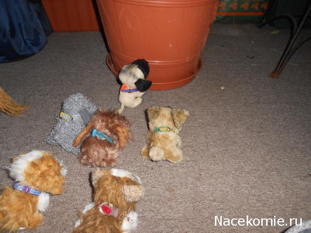 The Dog Collection Болталка