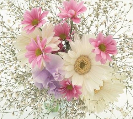 Дом Мечты наши дни рождения