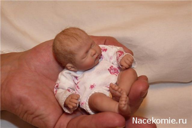 Жильцы Дома Мечты фото, ссылки, обсуждение