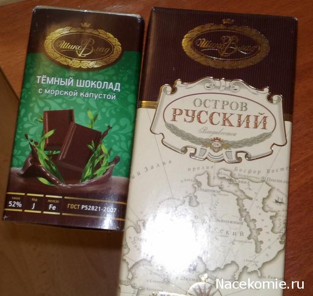 Дом Мечты и Новогодний Санта