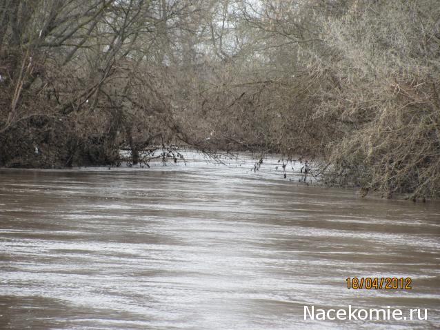 Мой любимый город или дорогие сердцу места