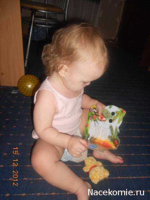 Дом Мечты и Новогодний Санта