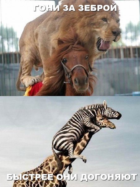 Дом Мечты Болталка: перезагрузка