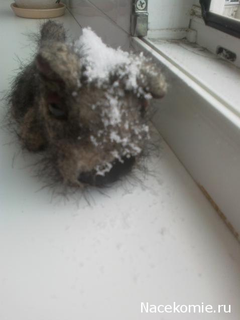 The Dog Collection Болталка