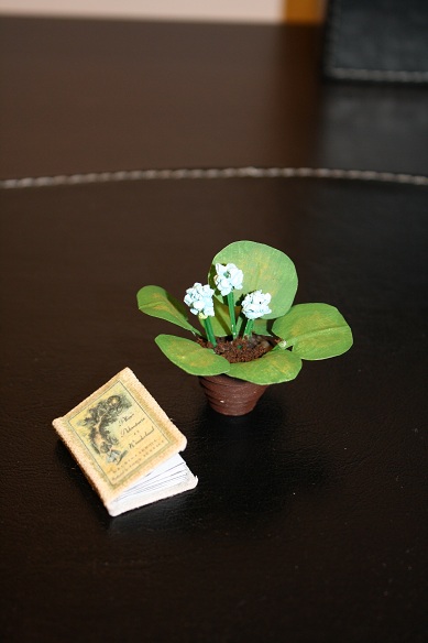 Дом Мечты и Новогодний Санта