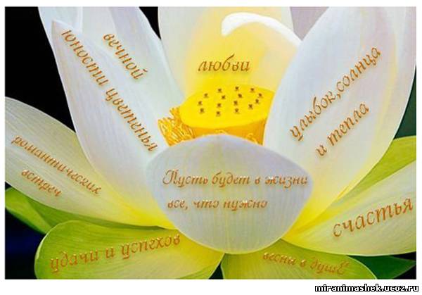 Дамы эпохи - Наши дни рождения