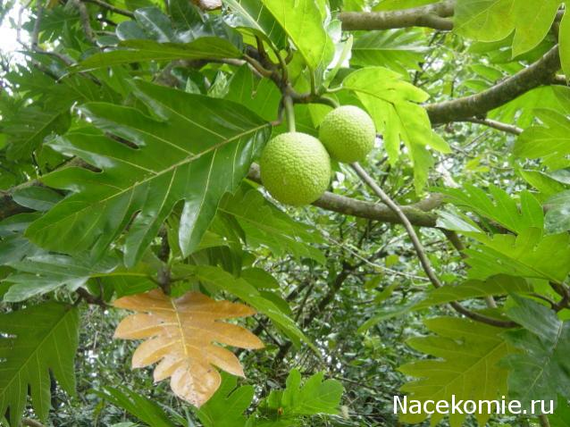 Парусник Баунти - Обустройство интерьера и  декора