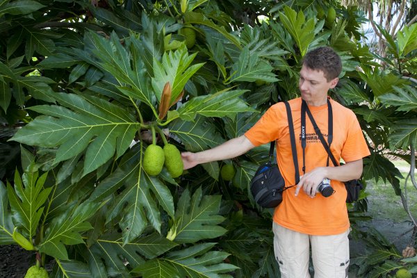 Парусник Баунти - Обустройство интерьера и  декора