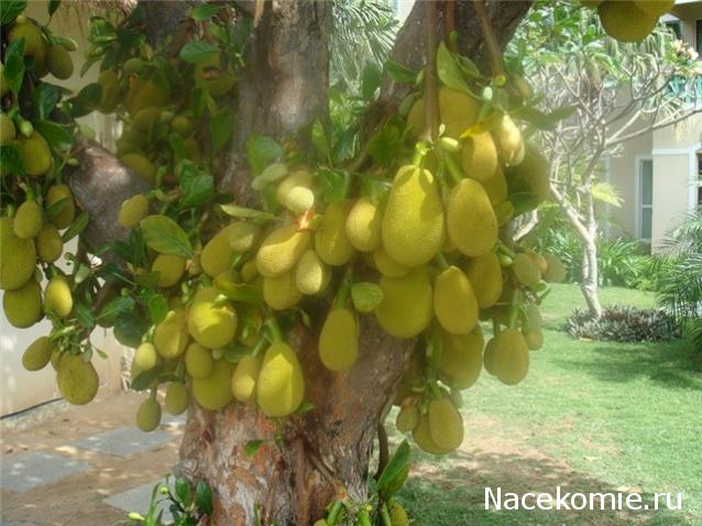 Парусник Баунти - Обустройство интерьера и  декора