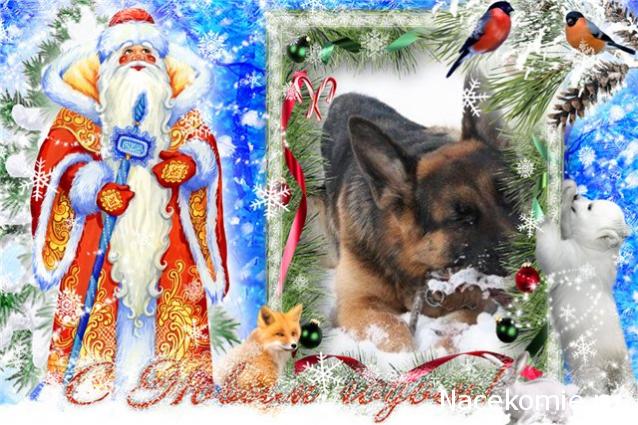 NataBasya - В мечтах о доме