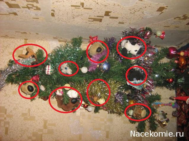 The Dog Collection Болталка