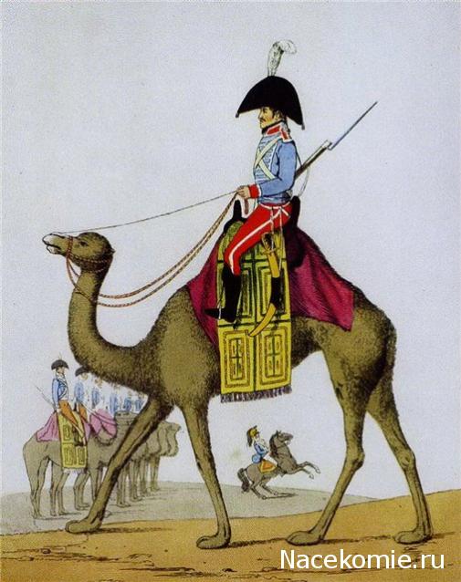 Униформология НВ: Великая Армия