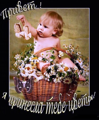 Дом Мечты наши дни рождения