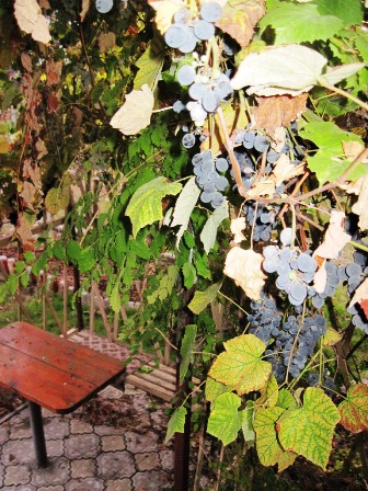 Дом Мечты Болталка: перезагрузка