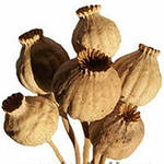 Дом Мечты Болталка: перезагрузка