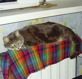 Дом Мечты Болталка: перезагрузка