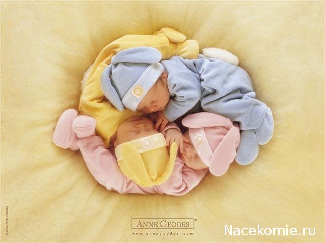 Дом Мечты наши дни рождения