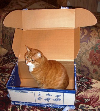 Дом Мечты и Новогодний Санта