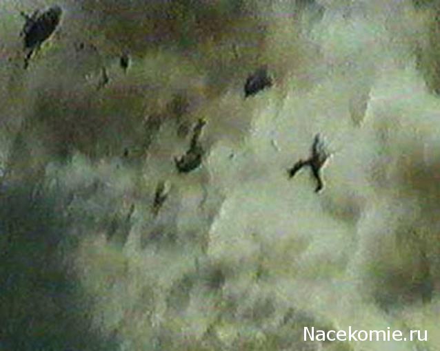 Танкодром (Общая Болталка танковых разделов)