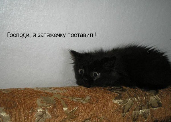 Дом Мечты Болталка: перезагрузка