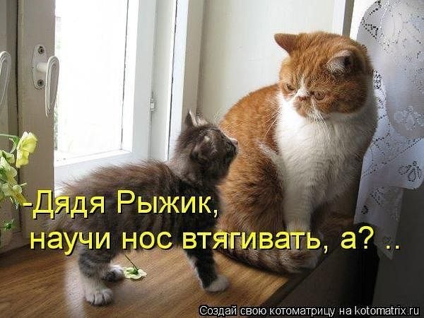 Дом Мечты Болталка: перезагрузка