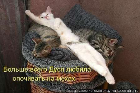 Дом Мечты Болталка: перезагрузка