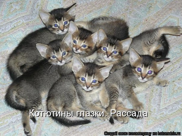 Дом Мечты Болталка: перезагрузка